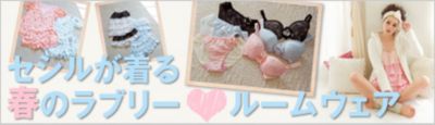 �Z�V��������t�̃��u���[���[���E�F�A