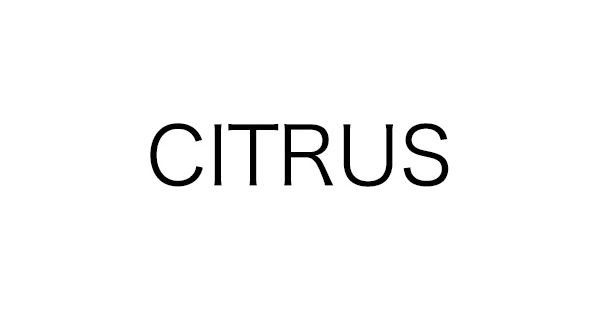 CITRUS（シトラス）通販 - HAPPY PLUS STORE