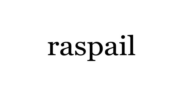 タグ付き未使用　ラスパイユ エクラ raspail eclat リネンシャツ タグ付き未使用 ラスパイユ エクラ raspail eclat リネンシャツ
