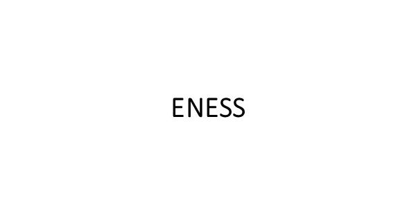 ENESS（エネス）通販 - HAPPY PLUS STORE