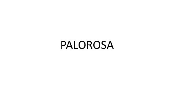 PALOROSA 新品未使用 美品 タグ付き メロンカラー PALOROSA 新品未使用 美品 タグ付き メロンカラー 2025年最新