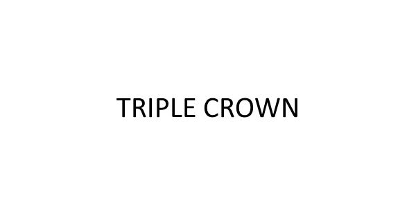 TRIPLE CROWN（トリプルクラウン）通販 - HAPPY PLUS STORE
