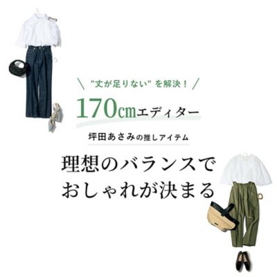 170�p�G�f�B�^�[�E�ؓc�����݂̐����A�C�e�� �u���z�̃o�����X�ł�����ꂪ���܂�v