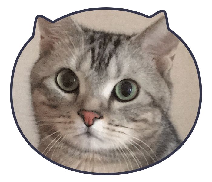 �A��������