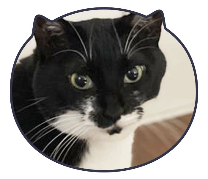 �~�A�����