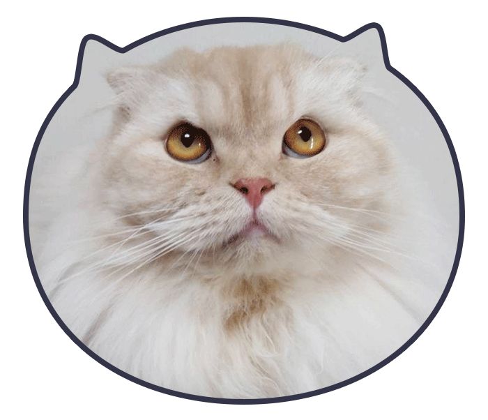 �p�s�i����