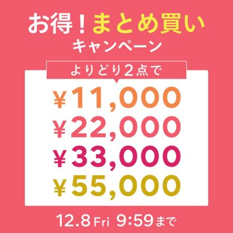 お得！まとめ買いキャンペーン!よりどり2点で¥11,000、¥22,000、¥33,000、¥55,000！