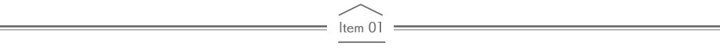 Item 01