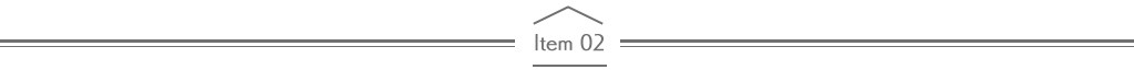 Item 02
