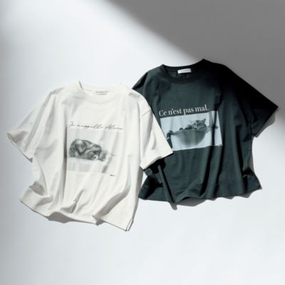 2.22猫の日を記念して”アランTシャツ”発売！　Alain CAT Tシャツ