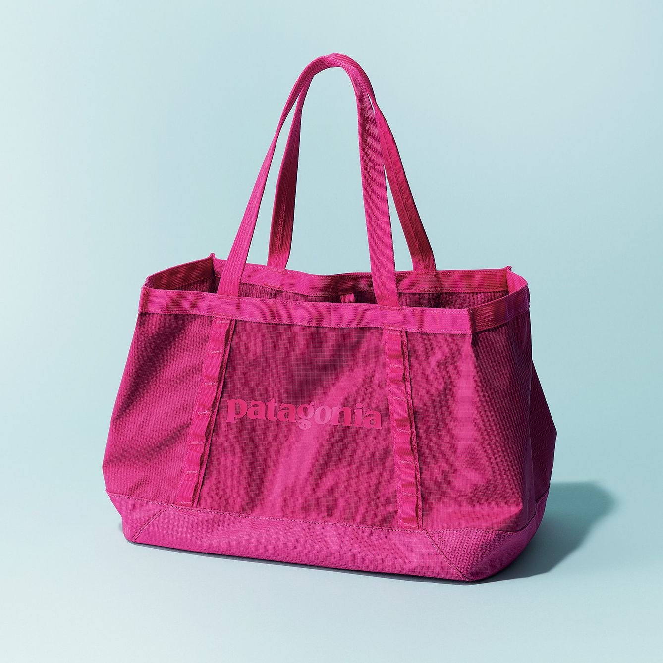patagonia(パタゴニア)/Black Hole Tote 25L