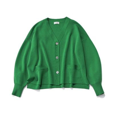 IENA(イエナ)の【LEE別注】【洗える】スーパーファインスムース