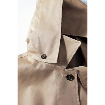 �A�N�Z���g�� ���S���t�[�h�́A�ܗ��̃{�^���Œ��EOK�B