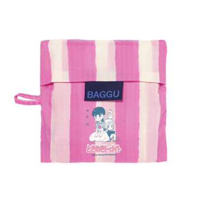 �t���̃|�[�`�ɃR���p�N�g�Ɏ��[