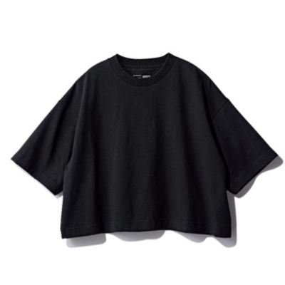 LEE�f��
