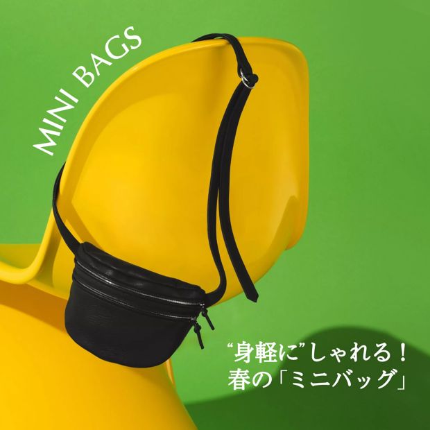 �g�g�y�Ɂh������I�@�t�́u�~�j�o�b�O�v