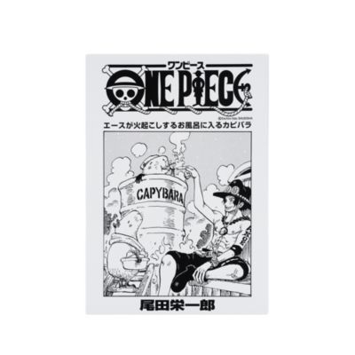 ONE PIECE(ワンピース)の『ONE PIECE』扉絵アートボード エース（107巻・1087話） BD3通販 | 集英社  ジャンプキャラクターズストア HAPPY PLUS STORE店