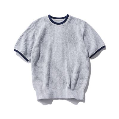 �A�C�X�O���[�@HPS�f��