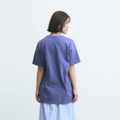 ���f���g���F160cm/���p�T�C�Y�F4