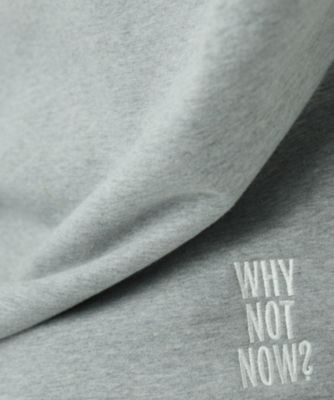 Chaos(カオス)の◇WHY NOT NOW◇コアスキッパープルオーバー通販