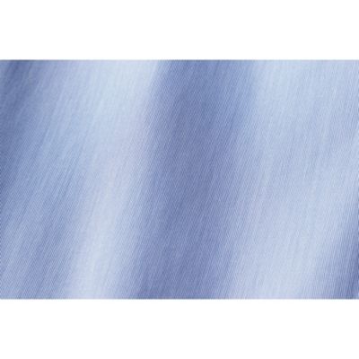 �n�P�ڂ̂悤�ȐD�蕿���������u�u���[�v�B�Ƃ��ɒ�����100���̃u���[�h���n�ł��B