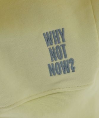 専用【新品未使用タグ付】カオス☆WHY NOT NOWコアスキッパープルオーバー Chaos(カオス)の◇WHY NOT NOW◇コアスキッパープルオーバー通販