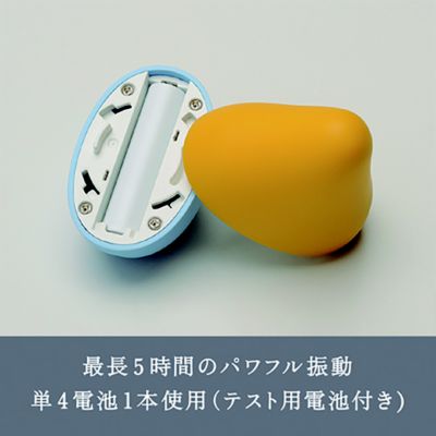 iroha(イロハ)のiroha プレジャー・アイテム・ミニ SORAMIKAN通販