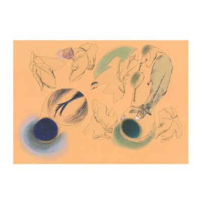 ＜集英社＞ 山本容子作(ヤマモトヨウコ サク)/『井戸』銅版画、手彩色