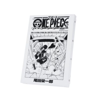 ONE PIECE(ワンピース)の『ONE PIECE』扉絵アートボード ゾロ（101巻・1016話） BD3通販 | 集英社HAPPY PLUS  STORE