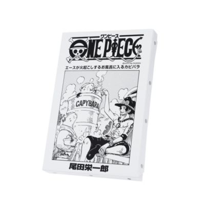 ONE PIECE(ワンピース)の『ONE PIECE』扉絵アートボード エース（107巻・1087話） BD3通販 | 集英社 ジャンプキャラクターズ ストア HAPPY PLUS STORE店