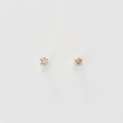 Phoebe(tB[rB[)/yK10zꗱ_ChsAX@S[h