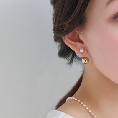 Phoebe(tB[rB[)/obN`[tCO