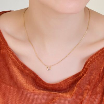 集英社HAPPY PLUS STOREPhoebe（フィービィー）/【金属アレルギー対応】リッチラインフォースシューネックレス　ゴールド／サージカルステンレス