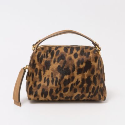 クニパパ様 GIANNI CHIARINI(ジャンニ キアリーニ)のALIFA S通販 | 集英社HAPPY