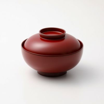 j cocomo(WFCRR)/Yosooi po 悤