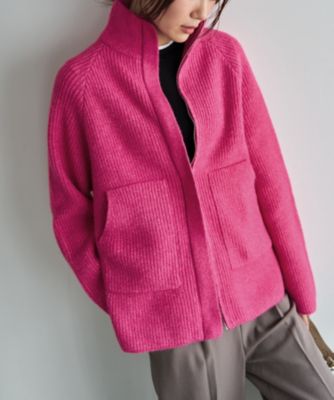 STYLE DELI(スタイルデリ)のダブルジップスタンドネックニット