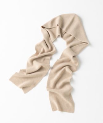 23(jWETN)/y􂦂zJV~uh t[fB Xg[