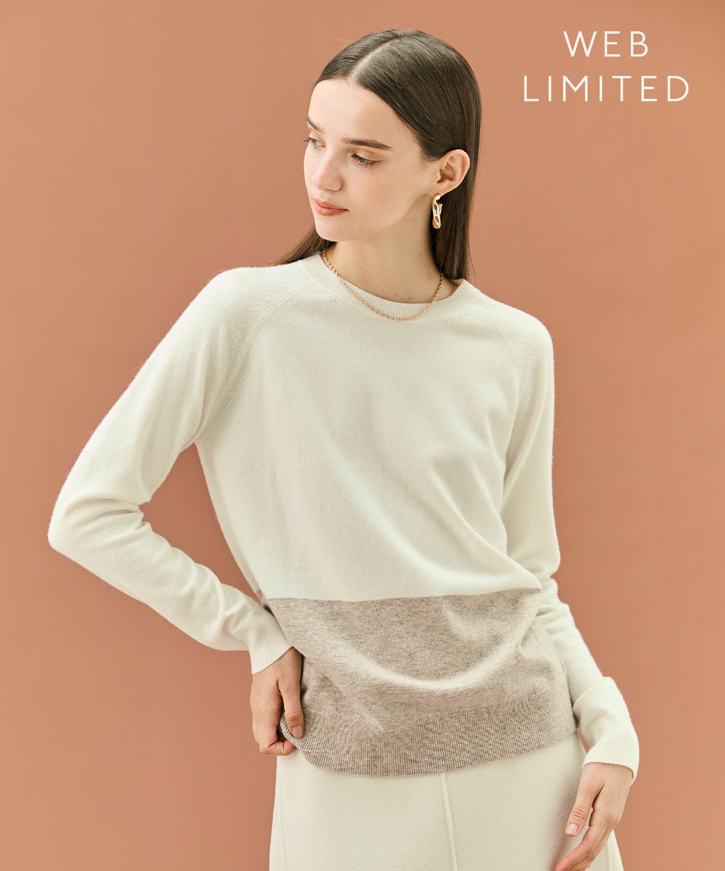 BEIGE，(ベイジ)/【WEB限定・洗える】DEMING / バイカラーウールクルーネックニット