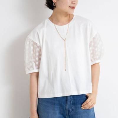 2nd nolley's ノーリーズ　カットソー セカンドノーリーズ 2nd NOLLEY'S チュール衿付きカットC/D