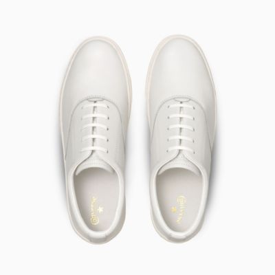 NOLLEY�fS goodman(�m�[���[�Y�O�b�h�}��)/�yCONVERSE/�R���o�[�X�zALL STAR COUPE PLAINTOE OX