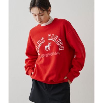 集英社HAPPY PLUS STOREWhim Gazette（ウィム ガゼット）/【15th】【WILD DONKEY】CANYON Sweat