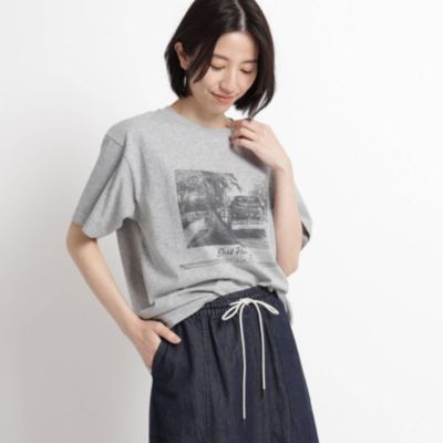 Dessin Ladies デッサン レディース の Xs Lサイズあり 洗える 汗染み軽減天竺フォトプリントtシャツ通販 集英社happy Plus Store