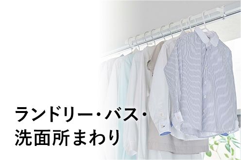 �����h���[�E�o�X�E���ʏ��܂��